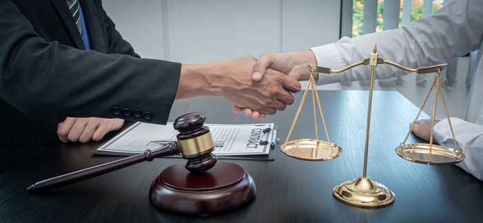Guarda, custodia y convivencias